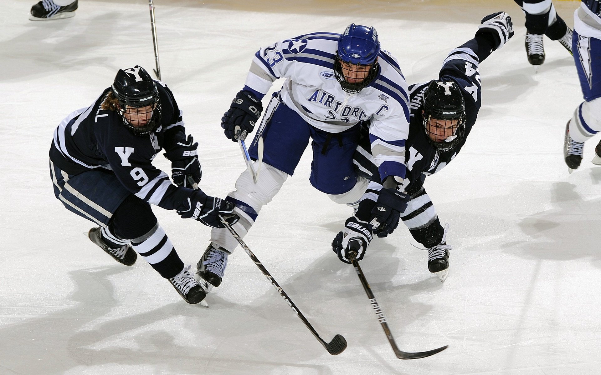 后备力量逐渐成型球队未来发展路径日益清晰,后备力量的定义
